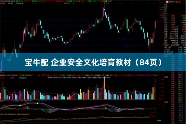 宝牛配 企业安全文化培育教材（84页）