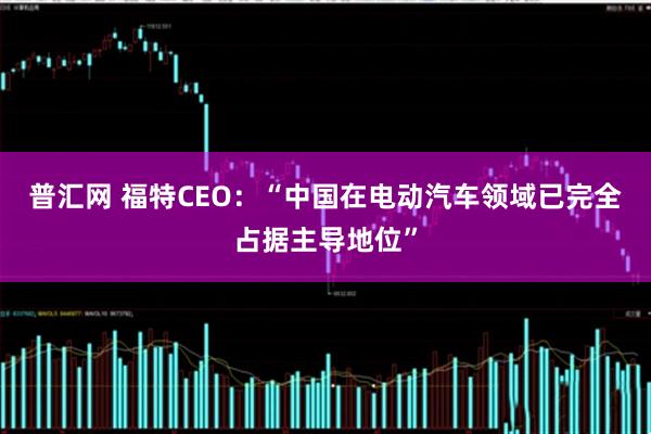 普汇网 福特CEO：“中国在电动汽车领域已完全占据主导地位”