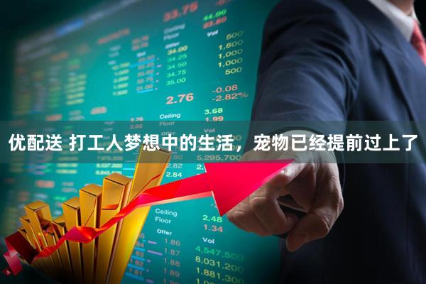 优配送 打工人梦想中的生活，宠物已经提前过上了