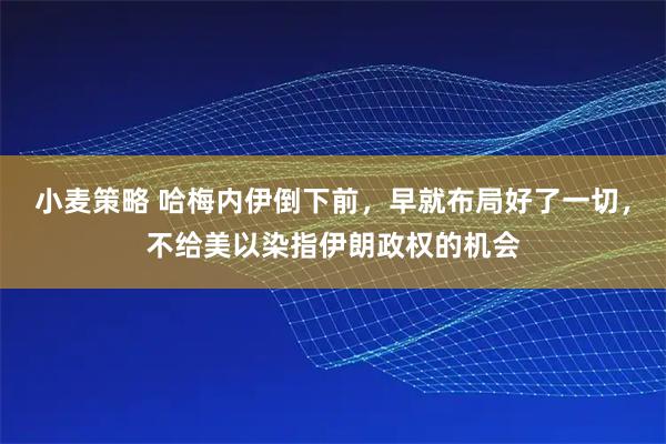 小麦策略 哈梅内伊倒下前，早就布局好了一切，不给美以染指伊朗政权的机会