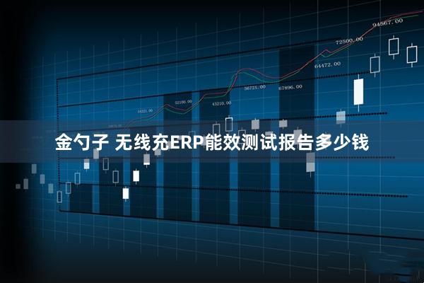 金勺子 无线充ERP能效测试报告多少钱