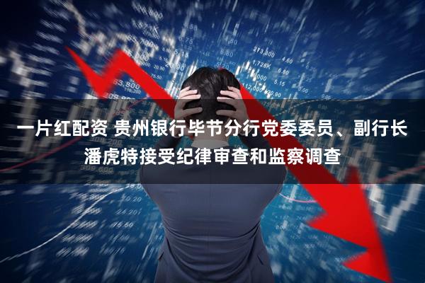 一片红配资 贵州银行毕节分行党委委员、副行长潘虎特接受纪律审查和监察调查
